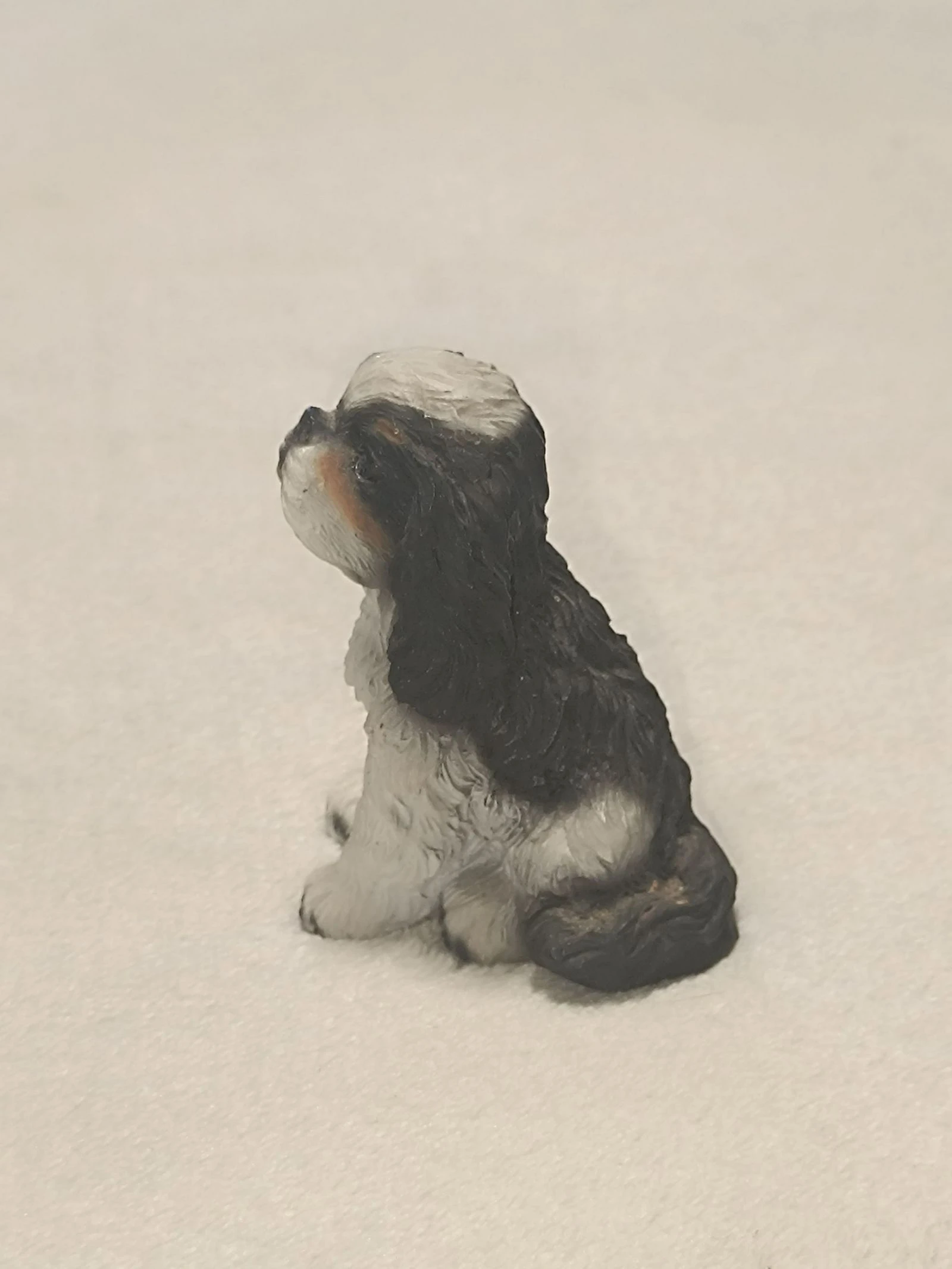 Miniatura de cachorro 🐶 Cavalier King Charles 🤎 – photo 3
